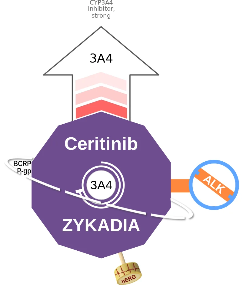 Ceritinib ballicule: receptor binding, kinetics and half-life diagram