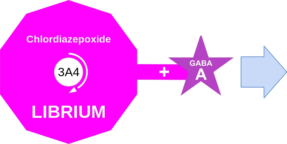 Chlordiazepoxide ballicule: receptor binding, kinetics and half-life diagram