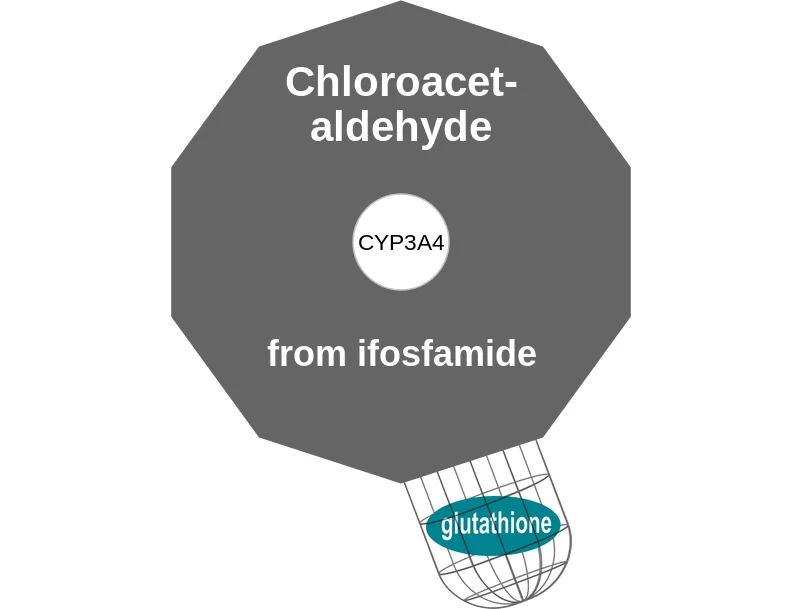Chloroacetaldehyde ballicule: receptor binding, kinetics and half-life diagram