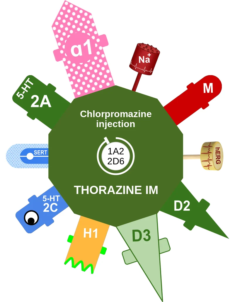 Chlorpromazine injection ballicule: receptor binding, kinetics and half-life diagram