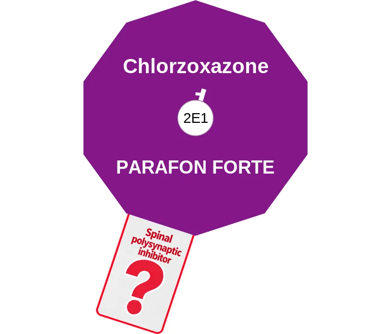 Chlorzoxazone ballicule: receptor binding, kinetics and half-life diagram