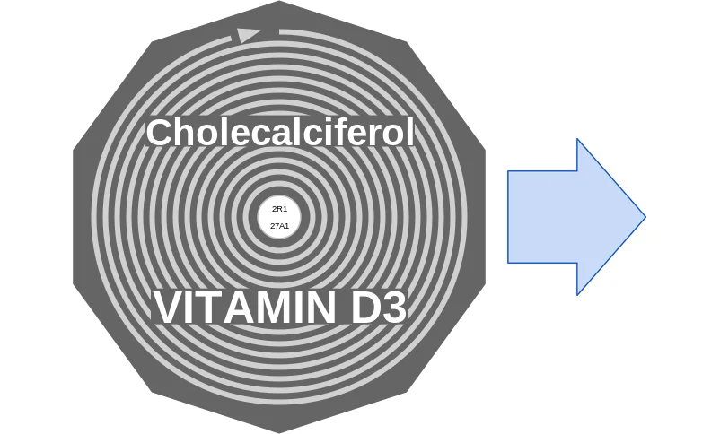 Cholecalciferol ballicule: receptor binding, kinetics and half-life diagram