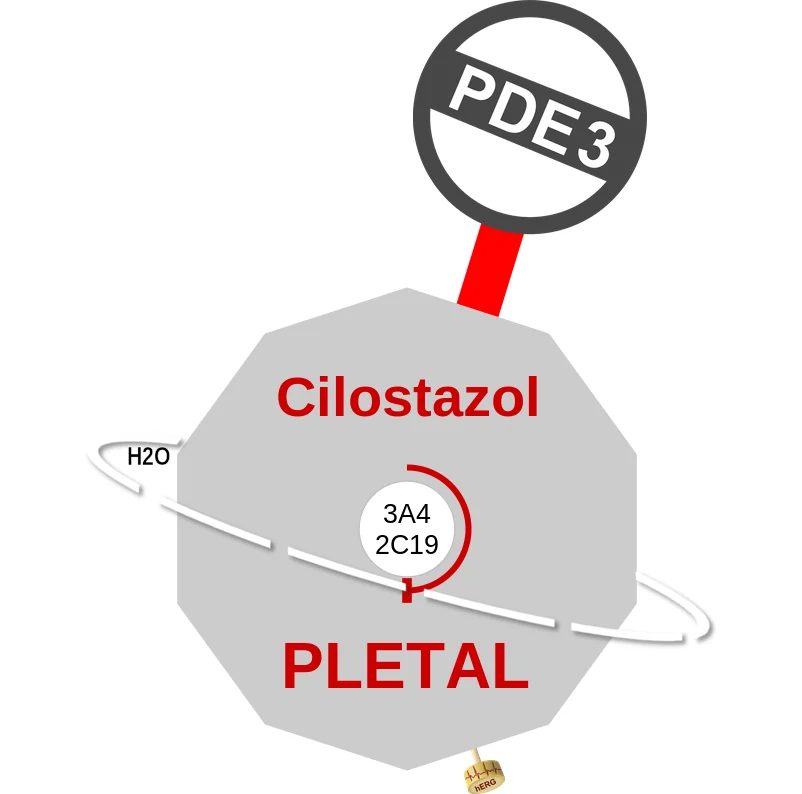 Cilostazol ballicule: receptor binding, kinetics and half-life diagram