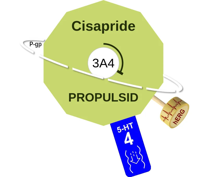 Cisapride ballicule: receptor binding, kinetics and half-life diagram