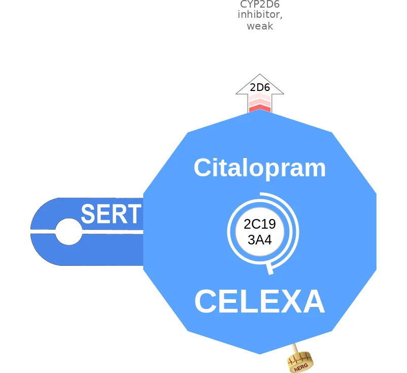 Citalopram ballicule: receptor binding, kinetics and half-life diagram