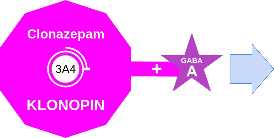 Clonazepam ballicule: receptor binding, kinetics and half-life diagram