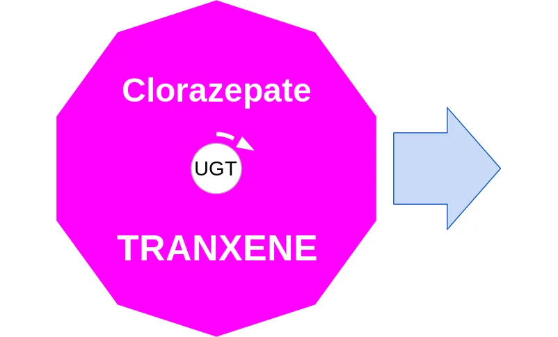 Clorazepate ballicule: receptor binding, kinetics and half-life diagram