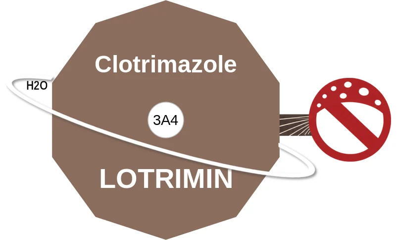 Clotrimazole ballicule: receptor binding, kinetics and half-life diagram