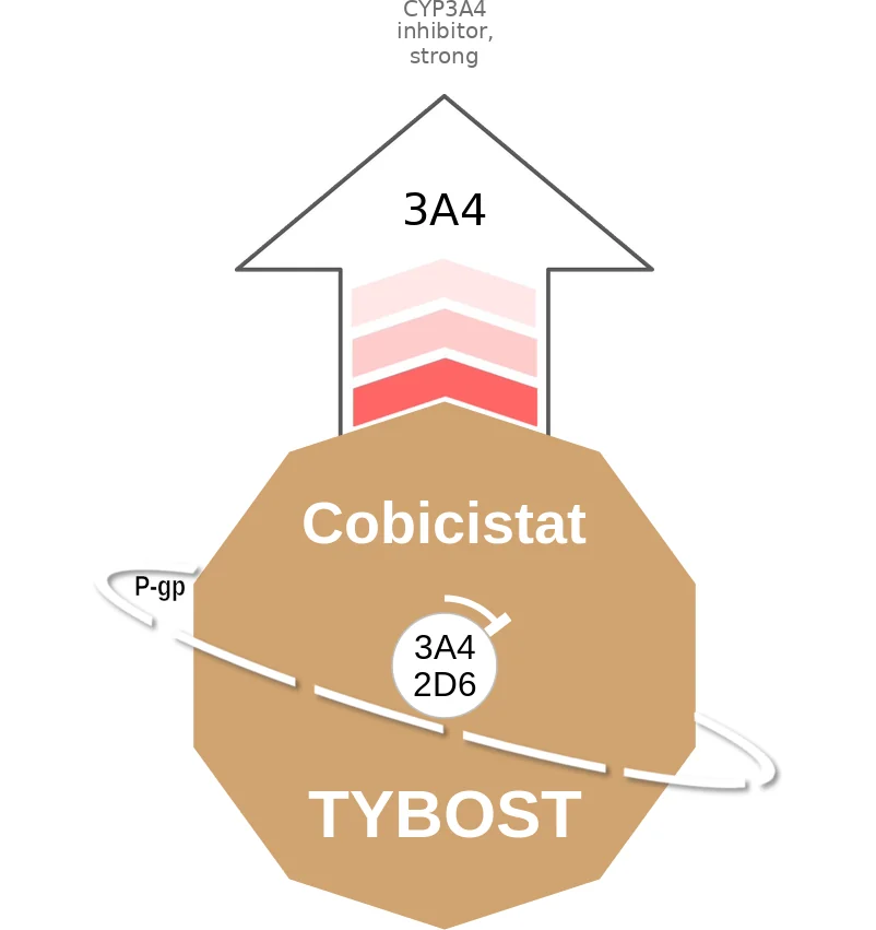 Cobicistat ballicule: receptor binding, kinetics and half-life diagram