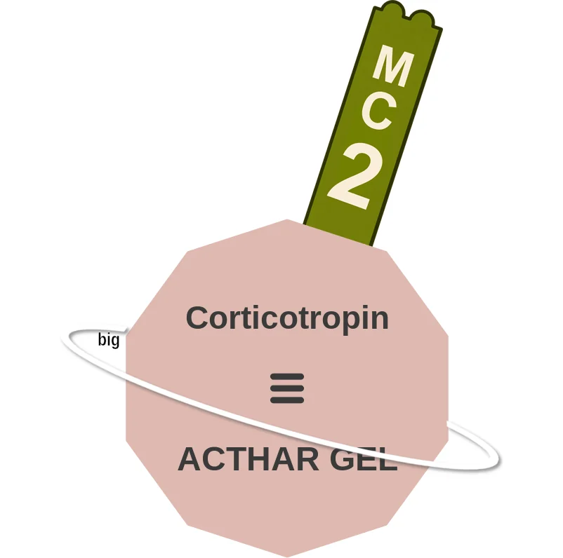 Corticotropin ballicule: receptor binding, kinetics and half-life diagram