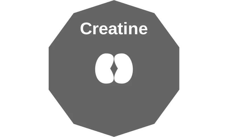 Creatine ballicule: receptor binding, kinetics and half-life diagram
