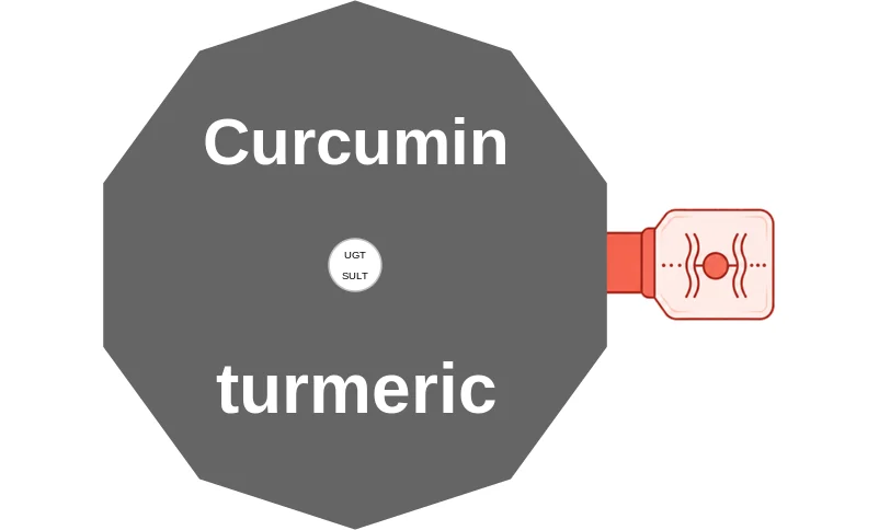 Curcumin ballicule: receptor binding, kinetics and half-life diagram
