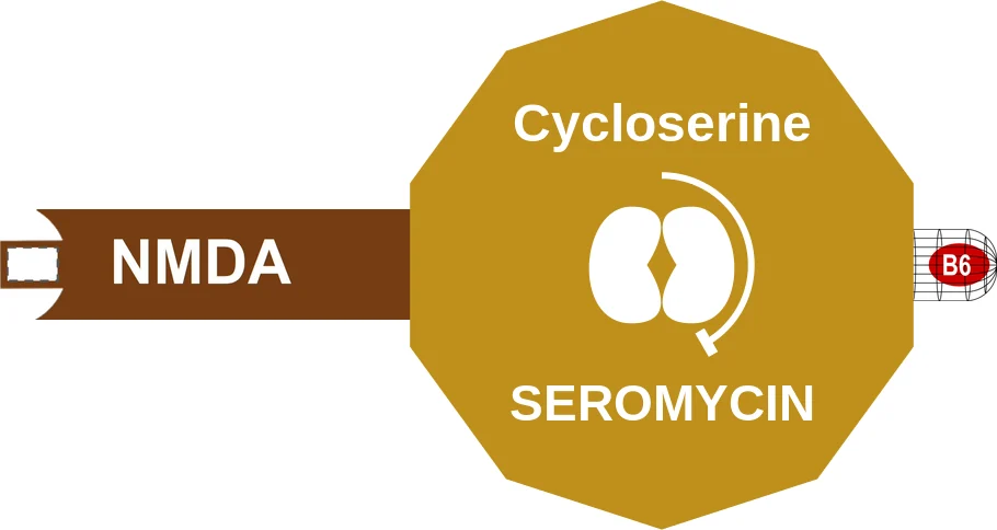 Cycloserine ballicule: receptor binding, kinetics and half-life diagram