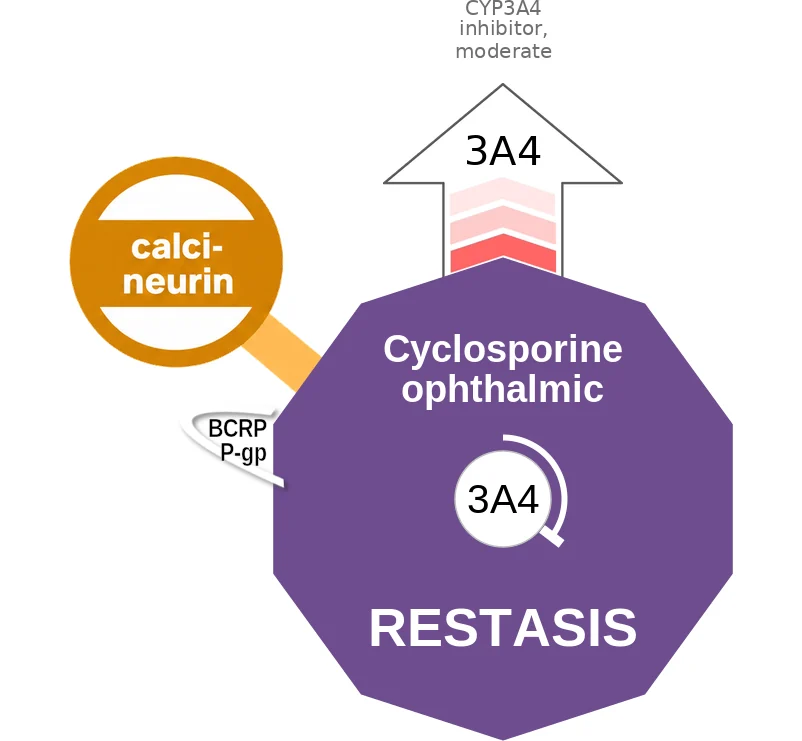 Cyclosporine ophthalmic ballicule: receptor binding, kinetics and half-life diagram