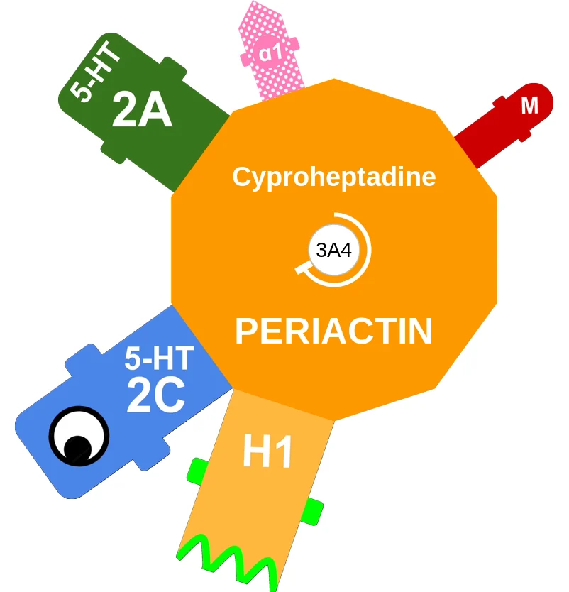 Cyproheptadine ballicule: receptor binding, kinetics and half-life diagram