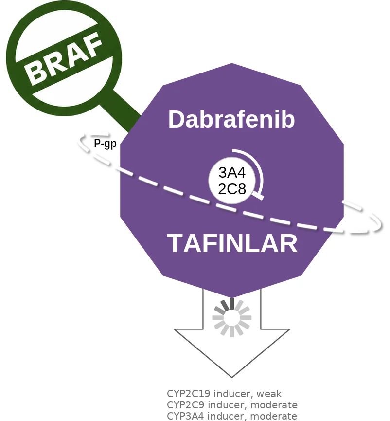 Dabrafenib ballicule: receptor binding, kinetics and half-life diagram