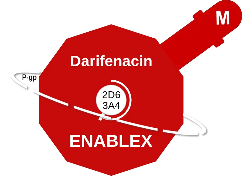 Darifenacin ballicule: receptor binding, kinetics and half-life diagram