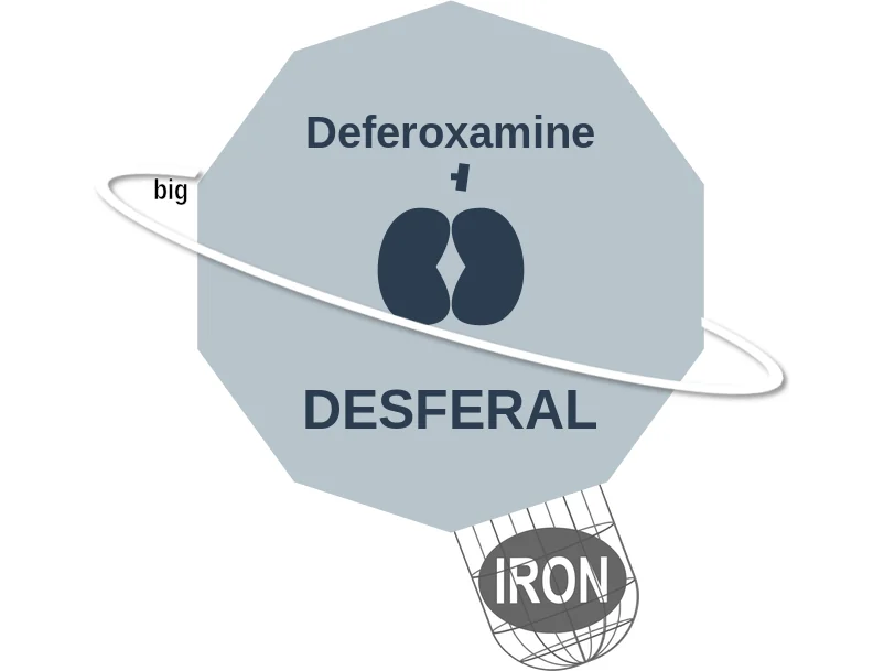 Deferoxamine ballicule: receptor binding, kinetics and half-life diagram