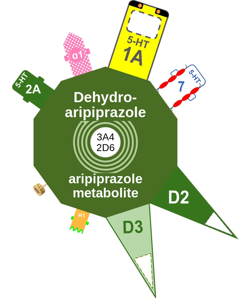 Dehydroaripiprazole ballicule: receptor binding, kinetics and half-life diagram
