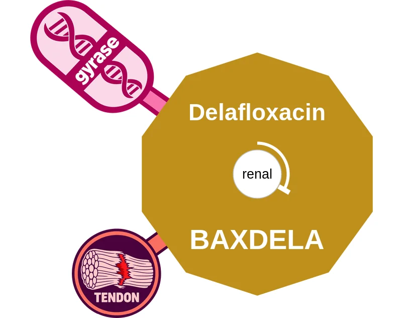 Delafloxacin ballicule: receptor binding, kinetics and half-life diagram