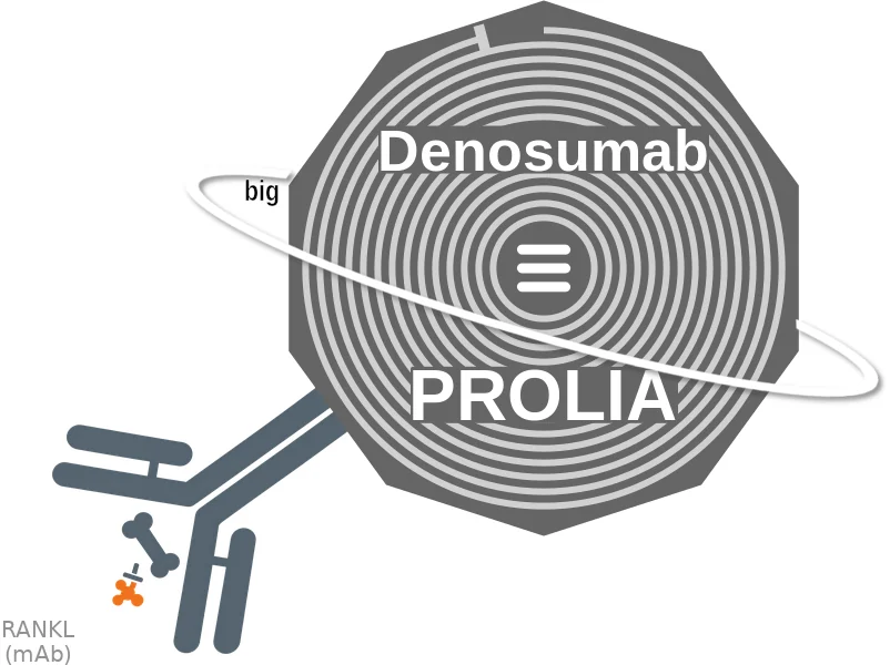Denosumab ballicule: receptor binding, kinetics and half-life diagram