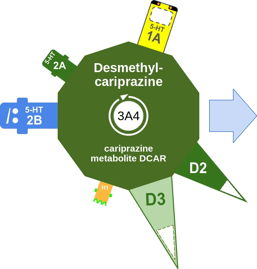 Desmethylcariprazine ballicule: receptor binding, kinetics and half-life diagram