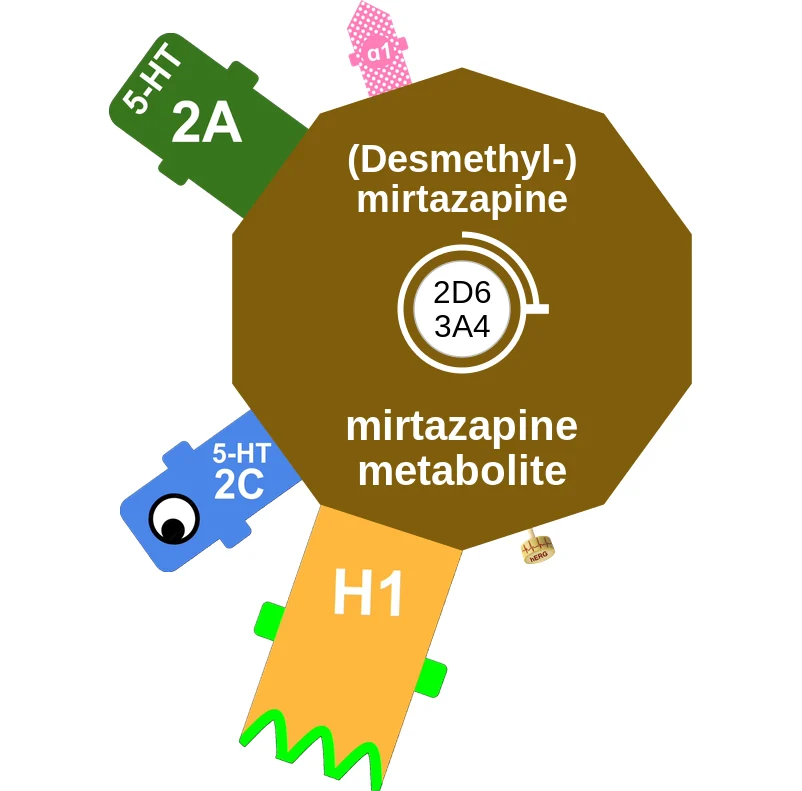 (Desmethyl-) mirtazapine ballicule: receptor binding, kinetics and half-life diagram