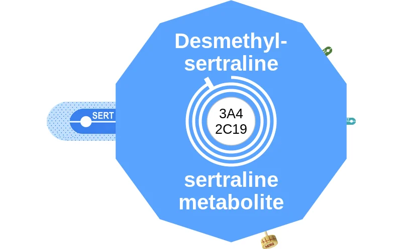 Desmethylsertraline ballicule: receptor binding, kinetics and half-life diagram