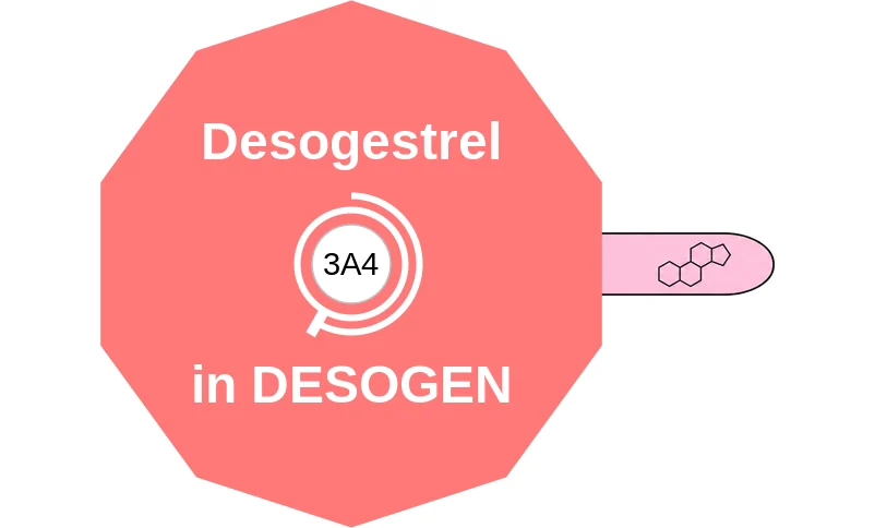 Desogestrel ballicule: receptor binding, kinetics and half-life diagram