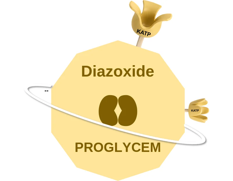 Diazoxide ballicule: receptor binding, kinetics and half-life diagram