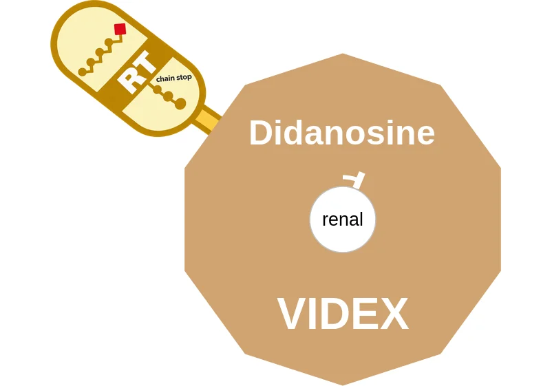 Didanosine ballicule: receptor binding, kinetics and half-life diagram