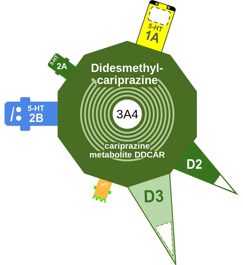 Didesmethylcariprazine ballicule: receptor binding, kinetics and half-life diagram