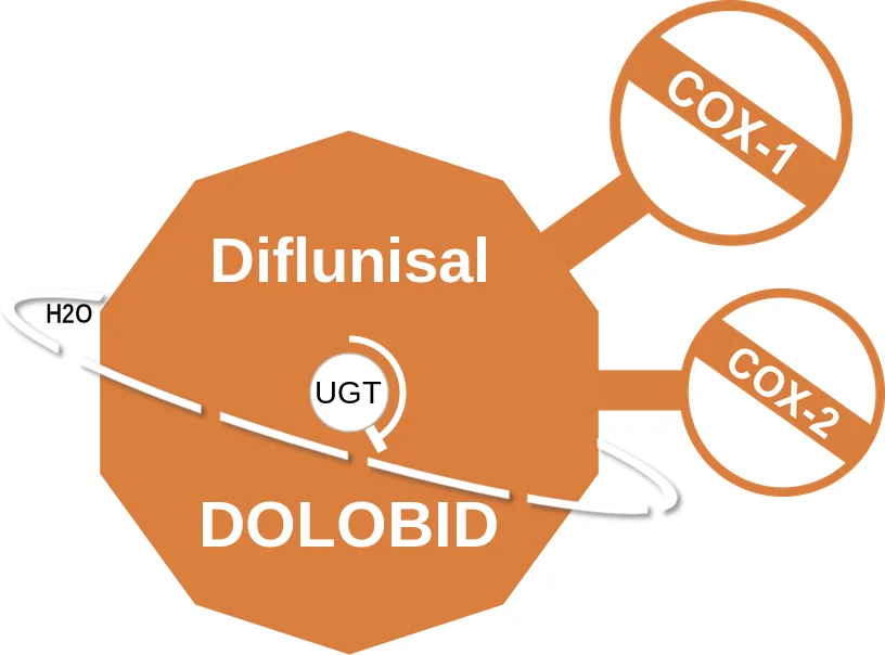 Diflunisal ballicule: receptor binding, kinetics and half-life diagram