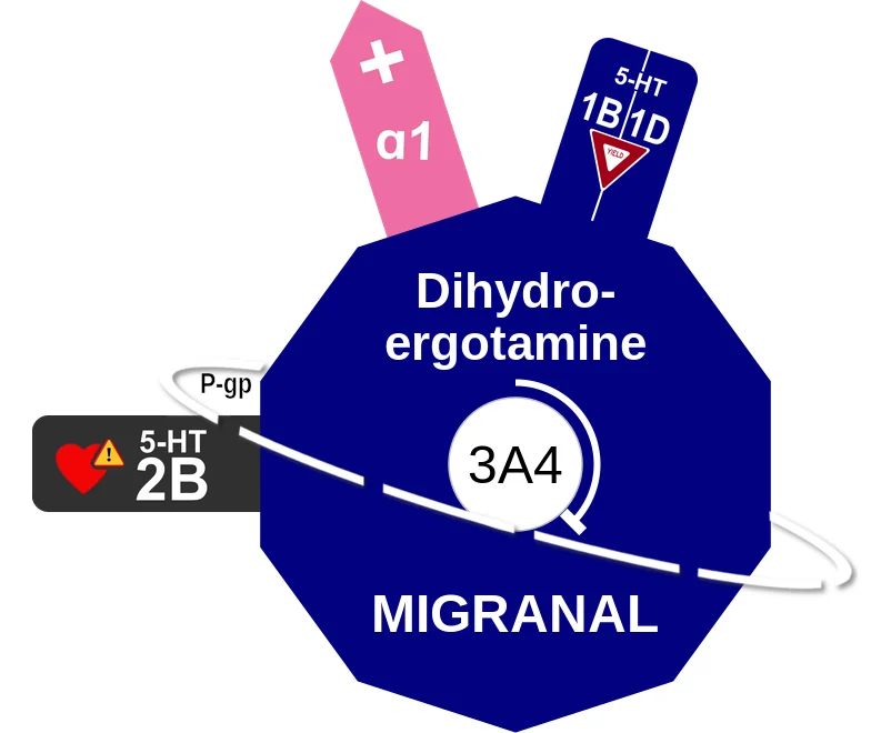 Dihydroergotamine ballicule: receptor binding, kinetics and half-life diagram