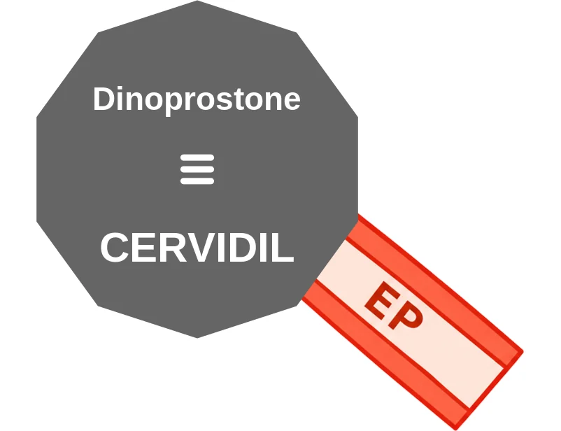 Dinoprostone ballicule: receptor binding, kinetics and half-life diagram