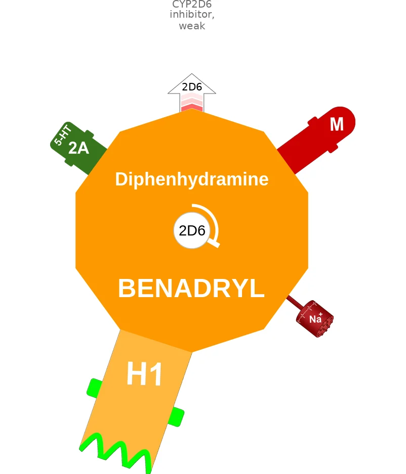 Diphenhydramine ballicule: receptor binding, kinetics and half-life diagram