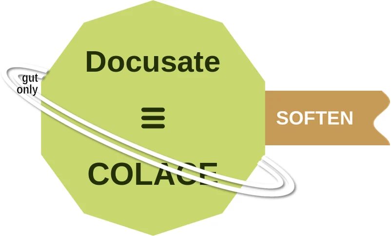 Docusate ballicule: receptor binding, kinetics and half-life diagram