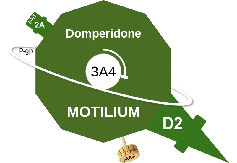 Domperidone ballicule: receptor binding, kinetics and half-life diagram