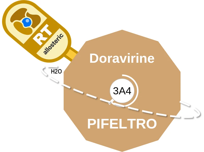 Doravirine ballicule: receptor binding, kinetics and half-life diagram