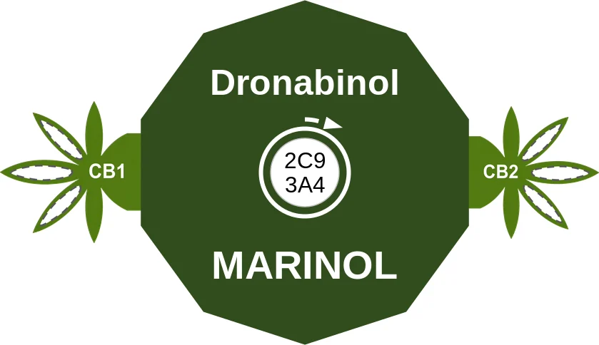 Dronabinol ballicule: receptor binding, kinetics and half-life diagram