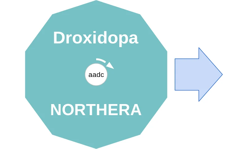 Droxidopa ballicule: receptor binding, kinetics and half-life diagram