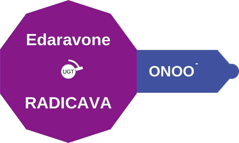 Edaravone ballicule: receptor binding, kinetics and half-life diagram
