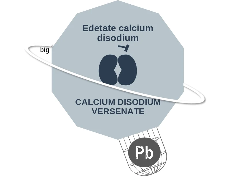 Edetate calcium disodium ballicule: receptor binding, kinetics and half-life diagram