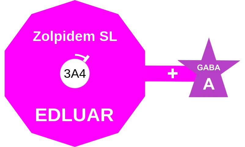 Zolpidem SL ballicule: receptor binding, kinetics and half-life diagram