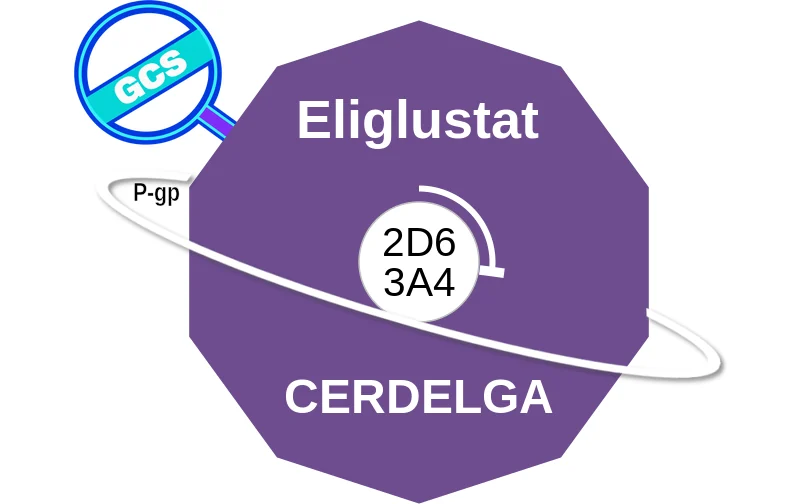 Eliglustat ballicule: receptor binding, kinetics and half-life diagram