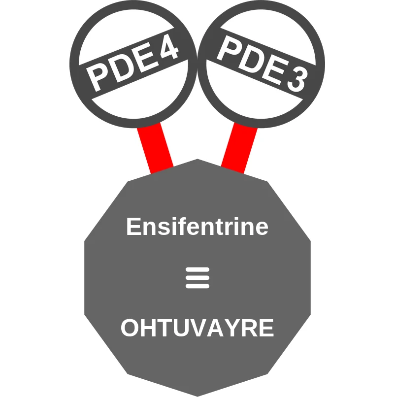 Ensifentrine ballicule: receptor binding, kinetics and half-life diagram