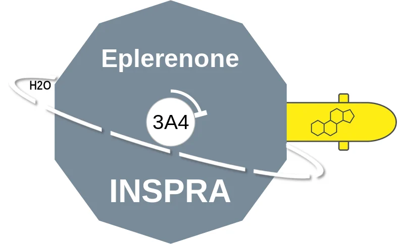Eplerenone ballicule: receptor binding, kinetics and half-life diagram