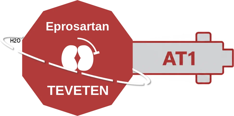Eprosartan ballicule: receptor binding, kinetics and half-life diagram