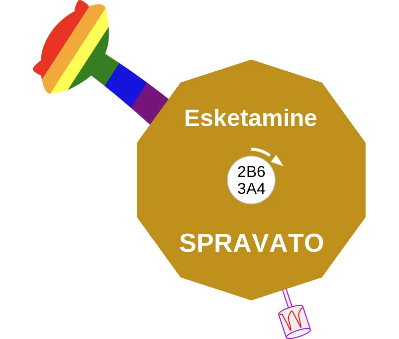 Esketamine ballicule: receptor binding, kinetics and half-life diagram