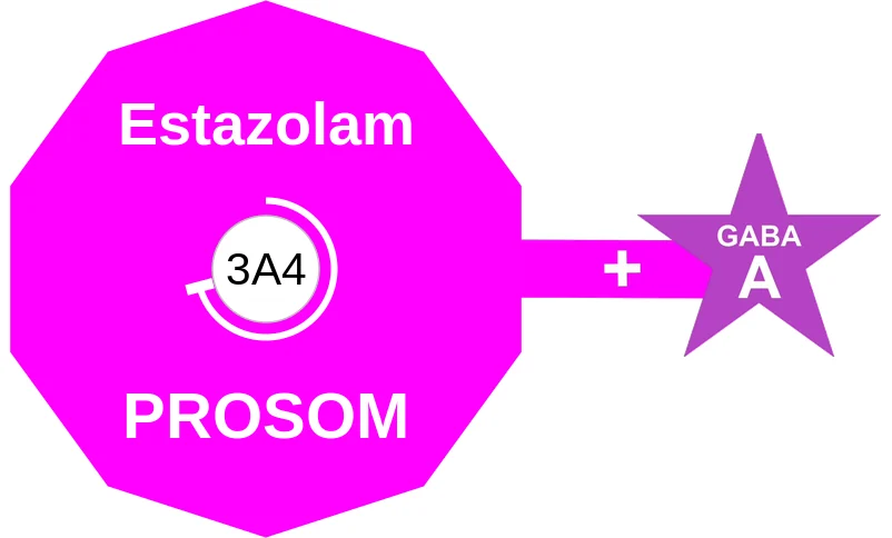 Estazolam ballicule: receptor binding, kinetics and half-life diagram